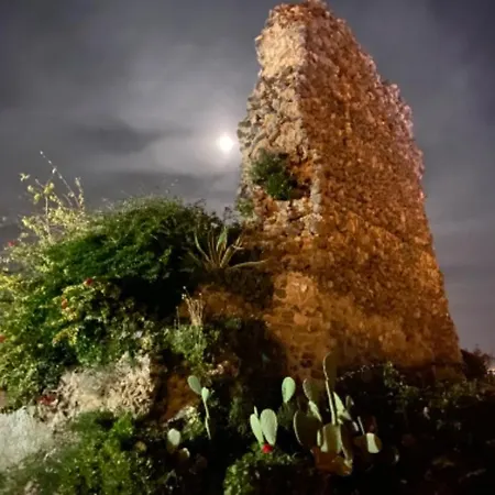 Mimosa Apartment Scalea