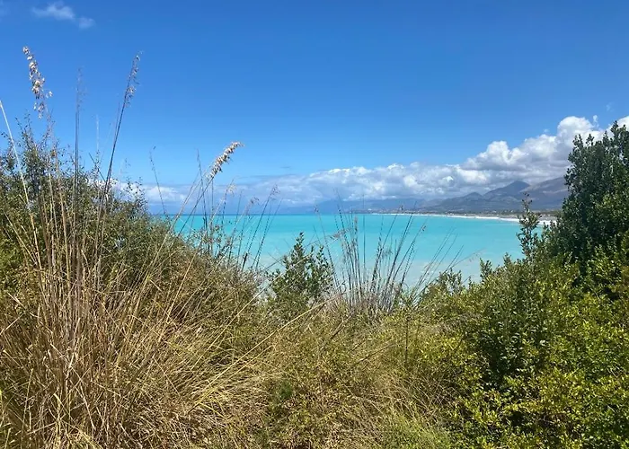 Mimosa * 斯卡莱阿