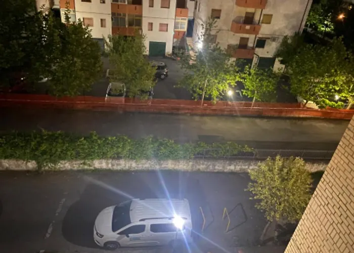 Mimosa * 斯卡莱阿